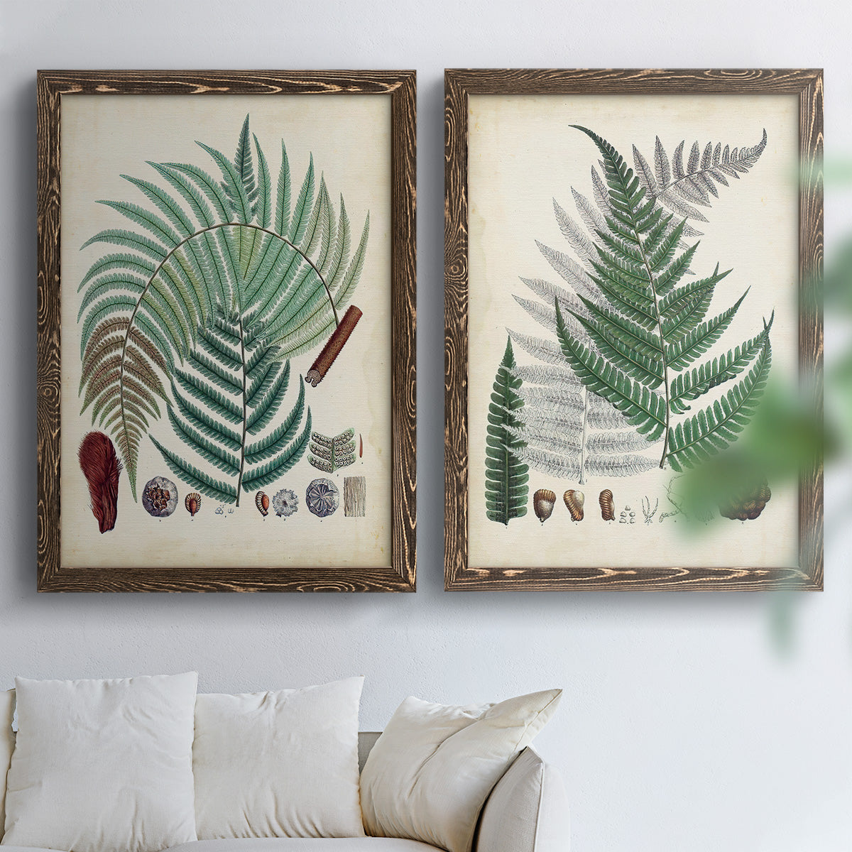 Collected Ferns I - Premium Framed Canvas 2 Piece Set - Ready to Hang