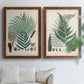Set of two maple barnwood framed canvas prints depicting varied green fronds, roots, spores, and archival labels arranged across two complementary compositions above a sofa in a bright living space.