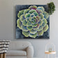 Succulent Rosette II - Canvas Art Print