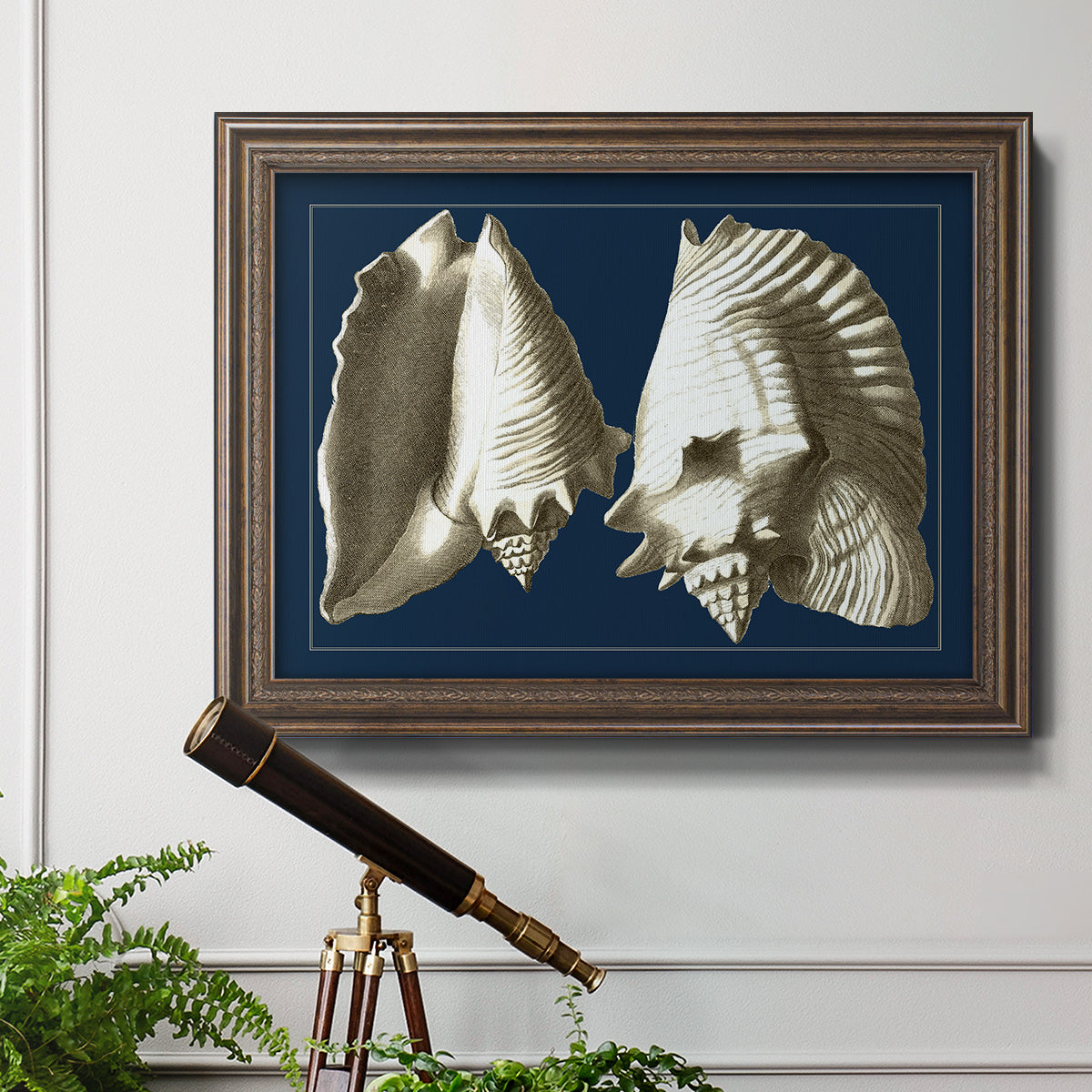 Conch Shells on Navy I Premium Framed Canvas- Ready to Hang