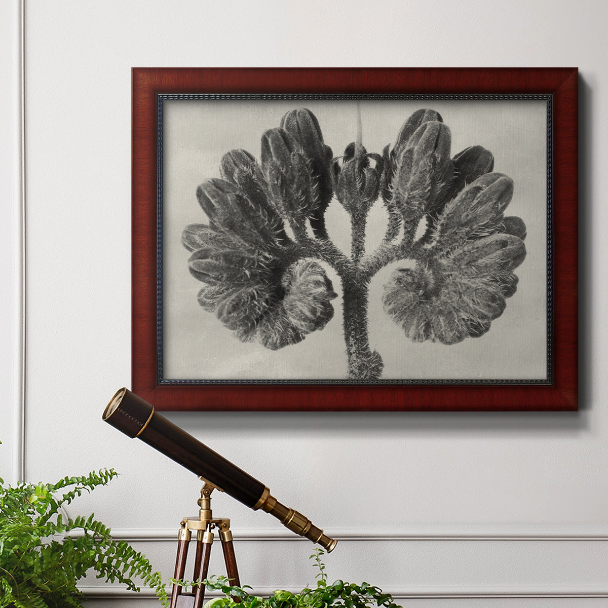 Blossfeldt Botanical VIII Premium Framed Canvas- Ready to Hang