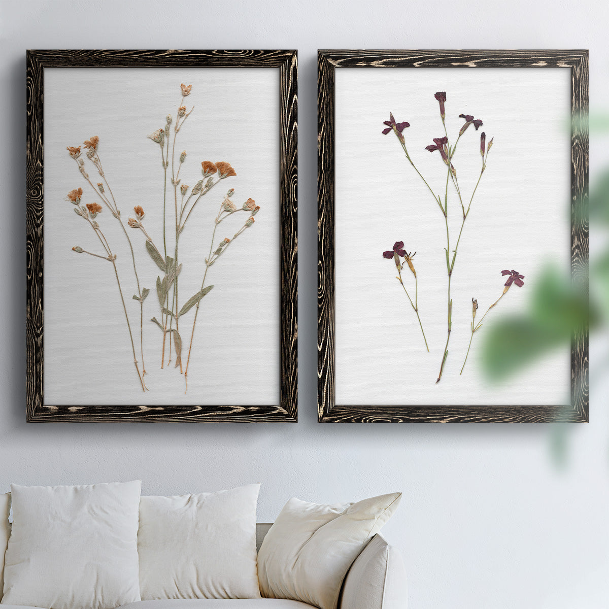 Pressed Botanical I - Premium Framed Canvas 2 Piece Set - Ready to Hang