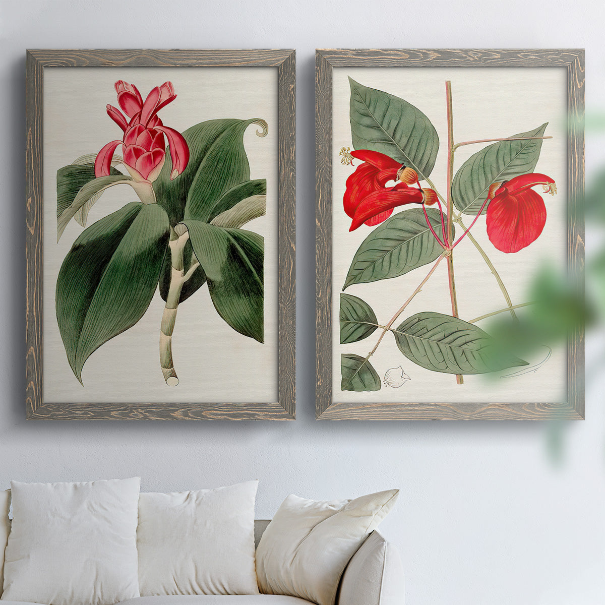 Flora of the Tropics I - Premium Framed Canvas 2 Piece Set - Ready to Hang