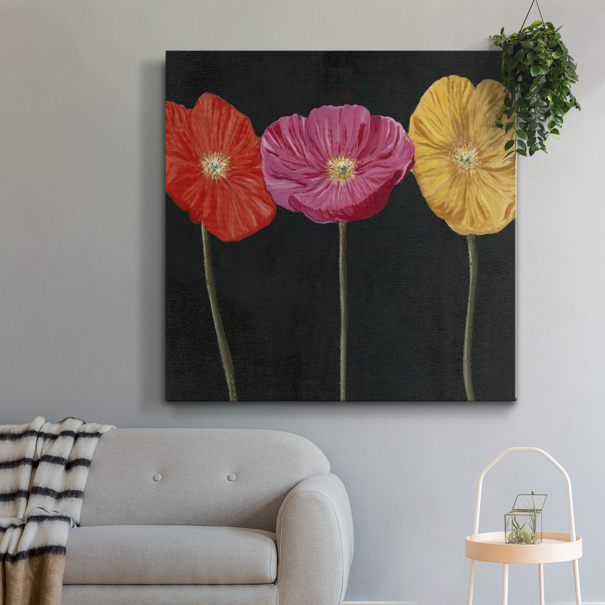 Poppy Trio II - Canvas Art Print
