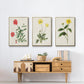 Flowers of the Seasons X - Framed Premium Gallery Wrapped Canvas L Frame 3 Piece Set - Ready to Hang