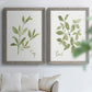 Herb Sage - Premium Framed Canvas 2 Piece Set - Ready to Hang