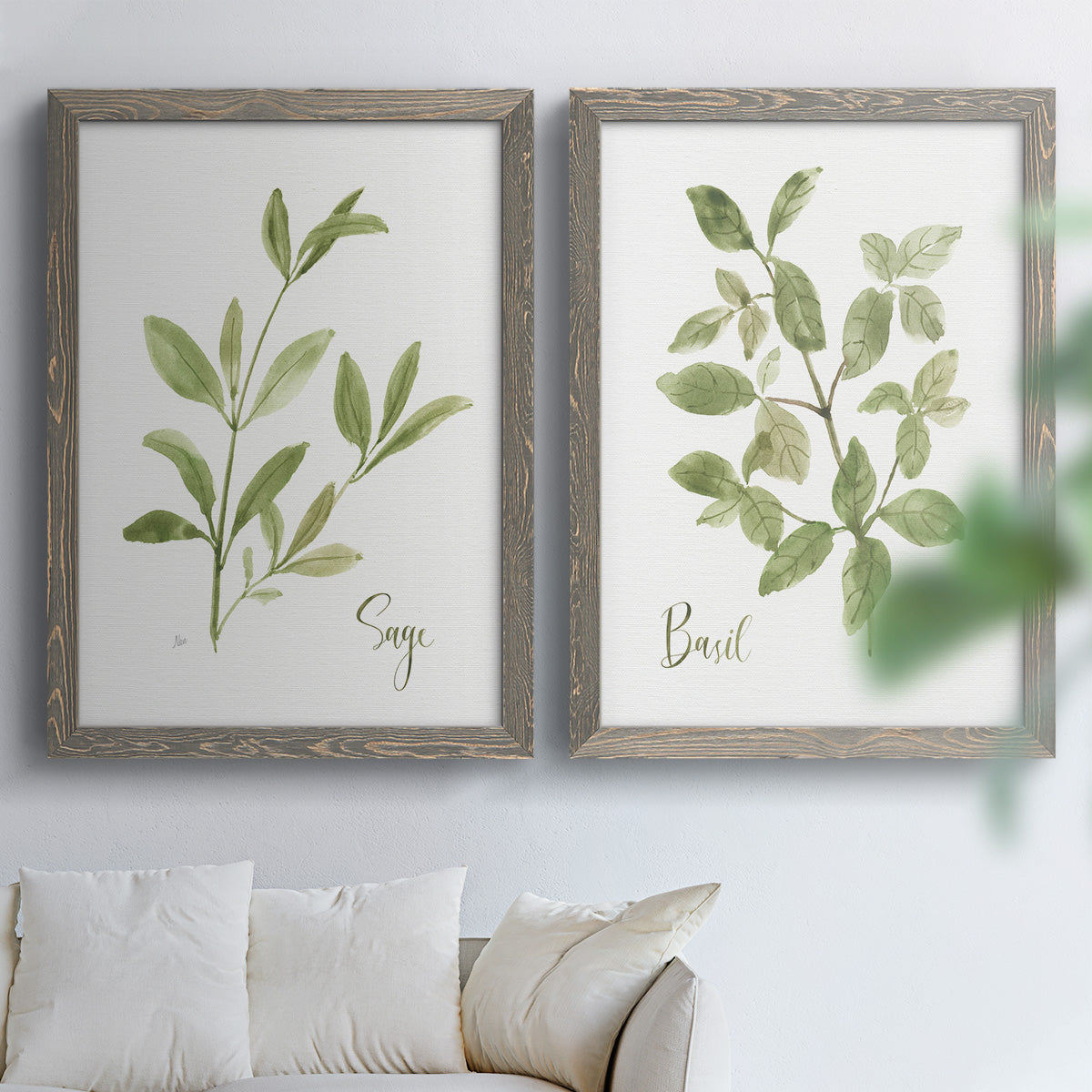 Herb Sage - Premium Framed Canvas 2 Piece Set - Ready to Hang