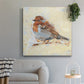 Bird Variety I-Premium Gallery Wrapped Canvas - Ready to Hang