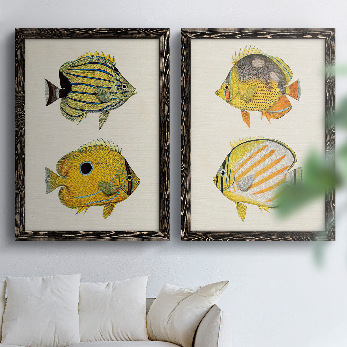 Yellow & Grey Fish III - Premium Framed Canvas 2 Piece Set - Ready to Hang