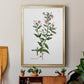 Rose Botanical III - Modern Framed Canvas Print