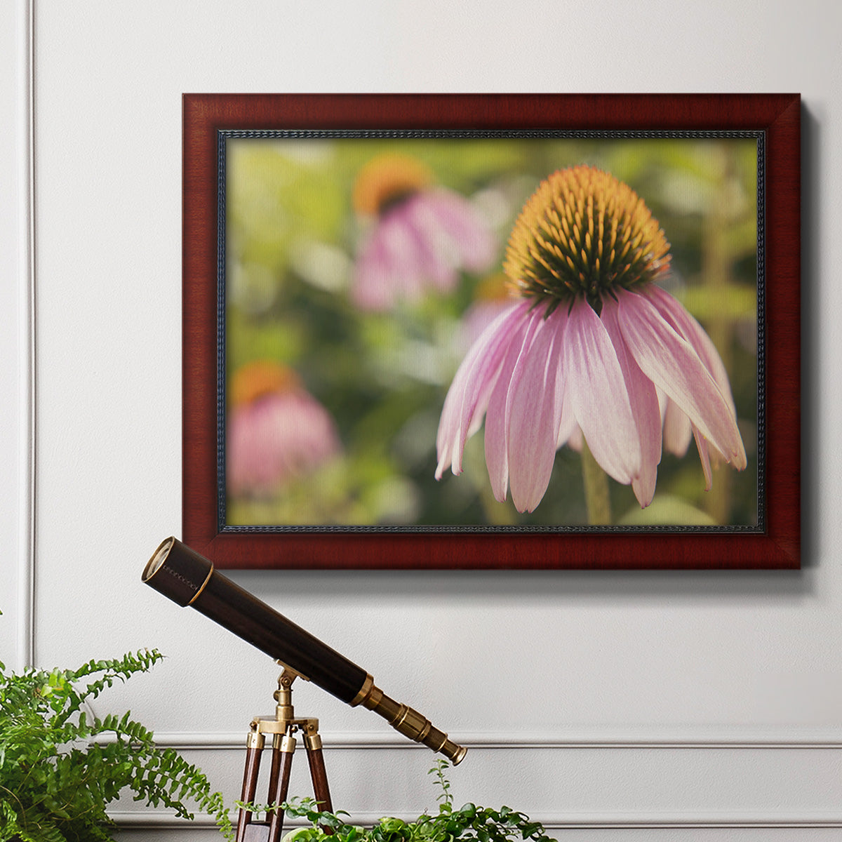 Echinacea Study I Premium Framed Canvas- Ready to Hang