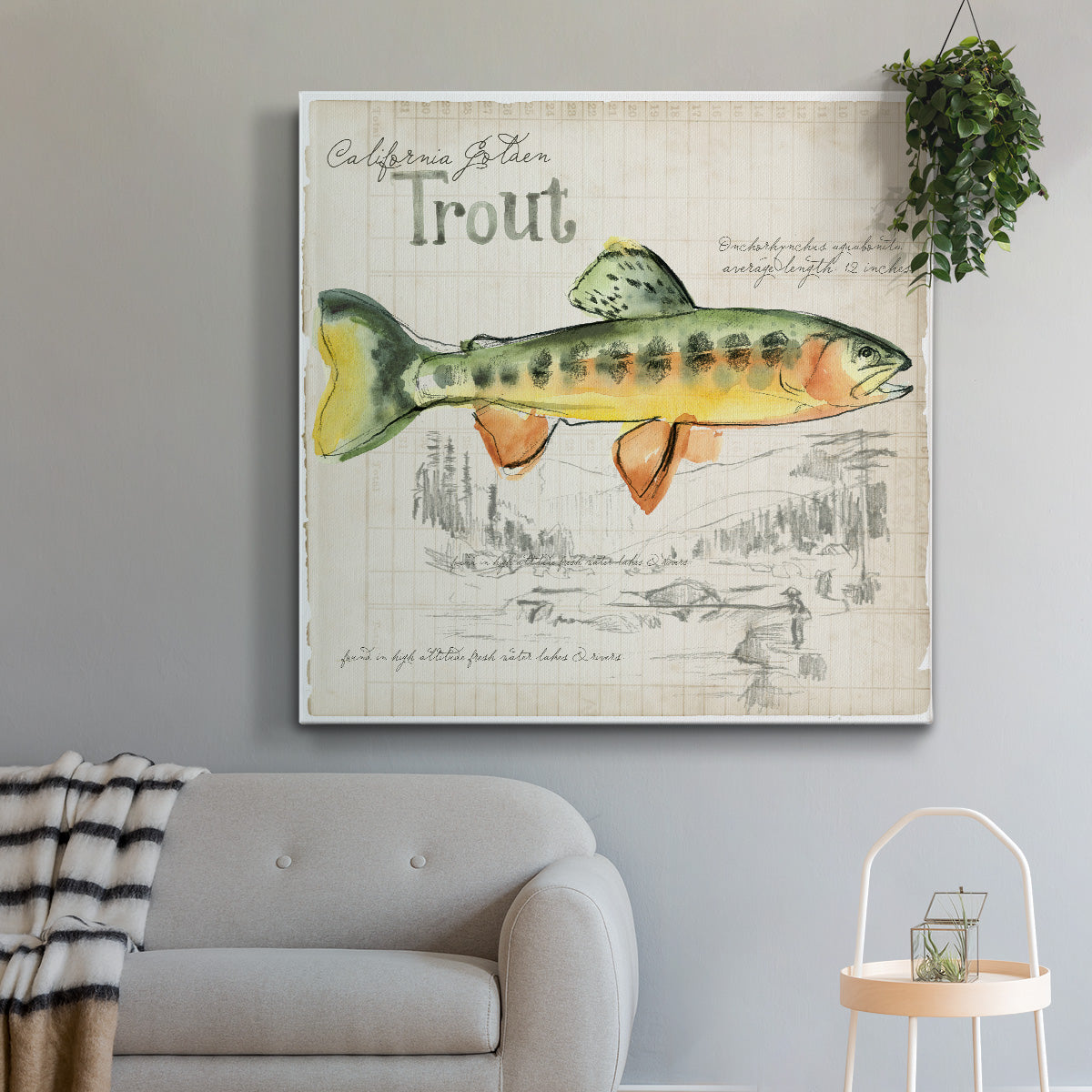 Trout Journal IV-Premium Gallery Wrapped Canvas - Ready to Hang