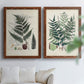 Set of two maple barnwood framed canvas prints depicting varied green fronds, roots, spores, and archival labels arranged across two complementary compositions above a sofa in a bright living space.