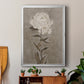 Pretty As A Peony I - Modern Framed Canvas Print