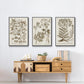 Sepia Botanical Journal I - Framed Premium Gallery Wrapped Canvas L Frame 3 Piece Set - Ready to Hang