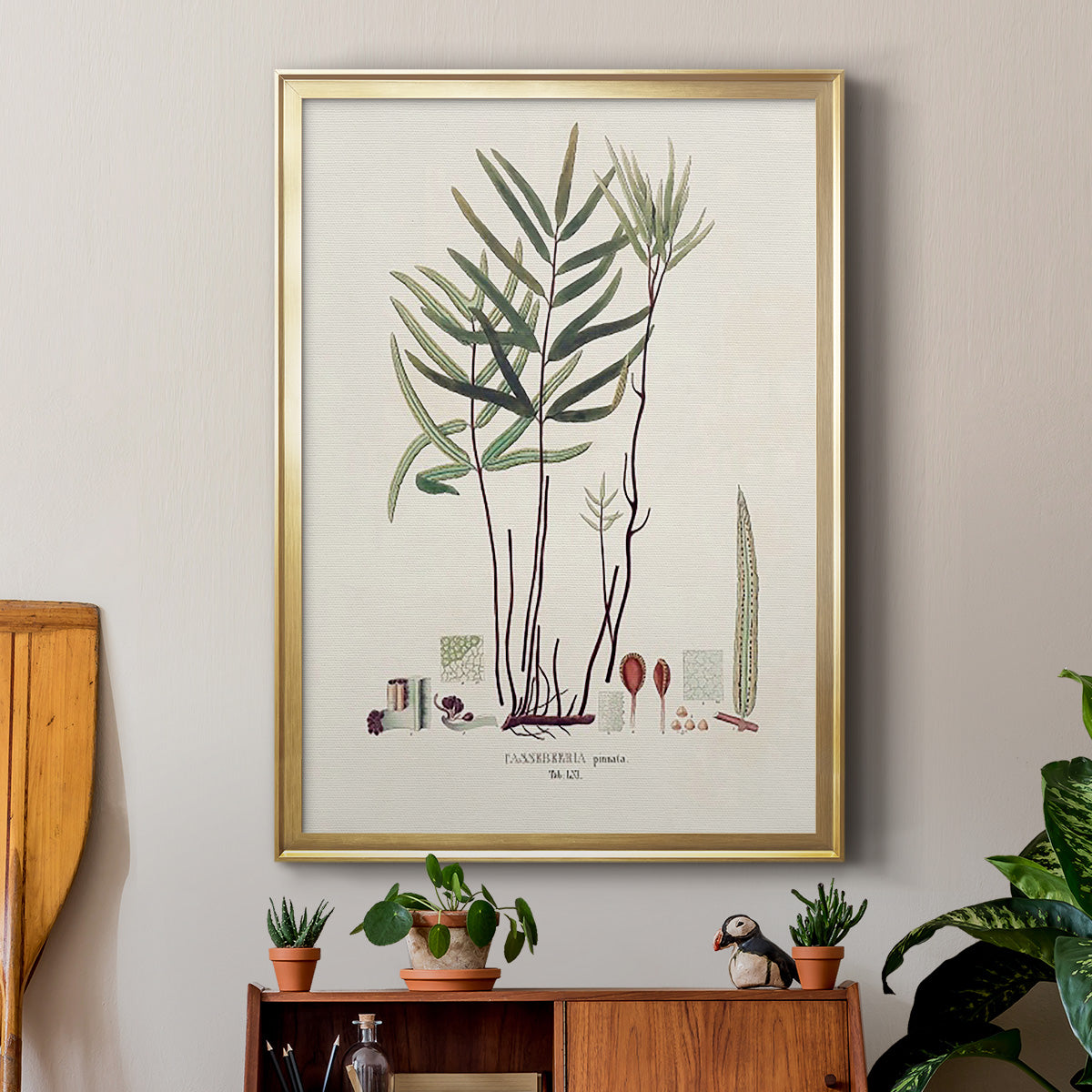 Botanical Society Ferns XI - Modern Framed Canvas Print