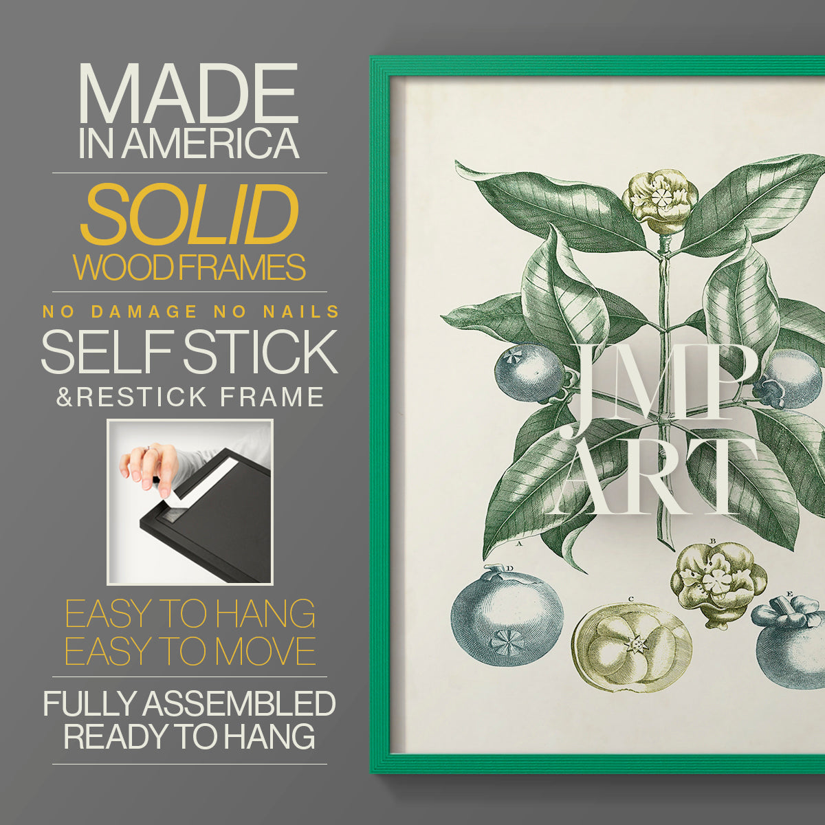 Buchoz Tropicals VII - Restickable Framed Art Print