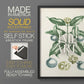 Buchoz Tropicals VII - Restickable Framed Art Print