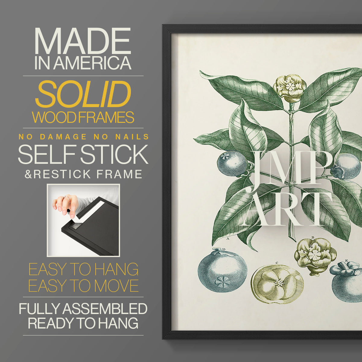 Buchoz Tropicals VII - Restickable Framed Art Print