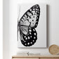 Monochrome Wings II Premium Gallery Wrapped Canvas - Ready to Hang