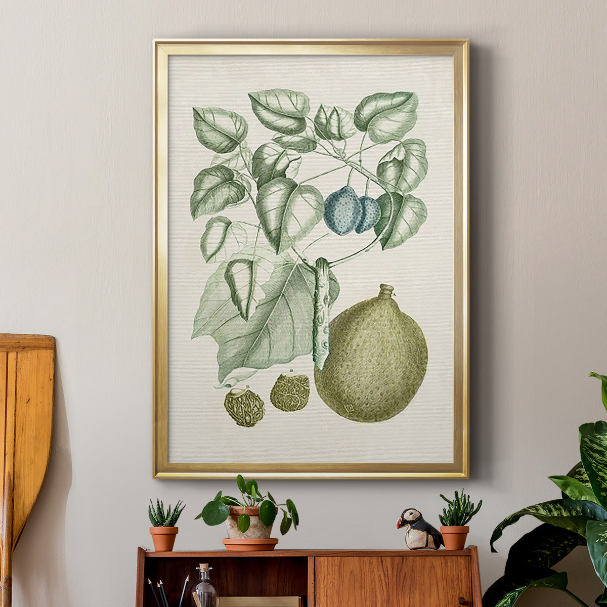 Buchoz Tropicals VIII - Modern Framed Canvas Print