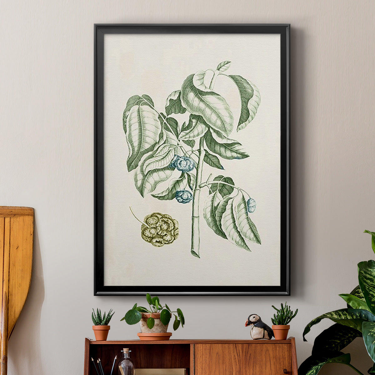 Buchoz Tropicals V - Modern Framed Canvas Print