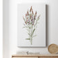 Dainty Botanical III - Canvas Art Print