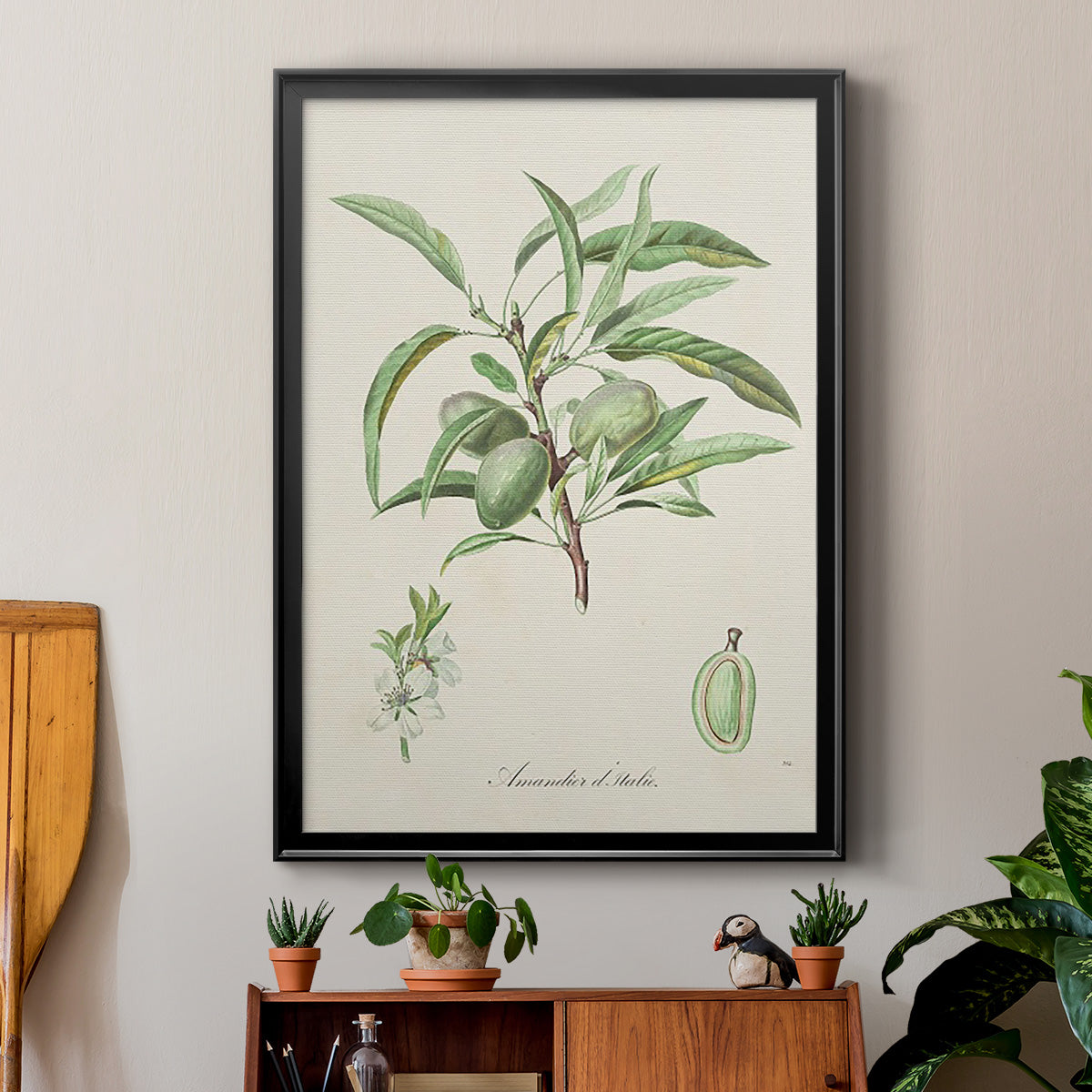 Antique Almond Botanical III - Modern Framed Canvas Print