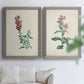 Traditional Botanical I - Premium Framed Canvas 2 Piece Set - Ready to Hang