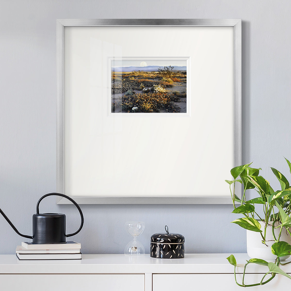 Anza Borrego Desert Premium Framed Print Double Matboard