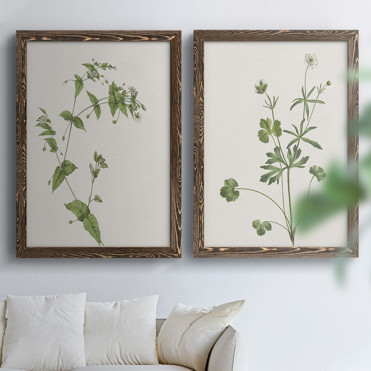 Wispy Botanical I - Premium Framed Canvas 2 Piece Set - Ready to Hang