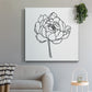 Peony Contour I - Canvas Art Print