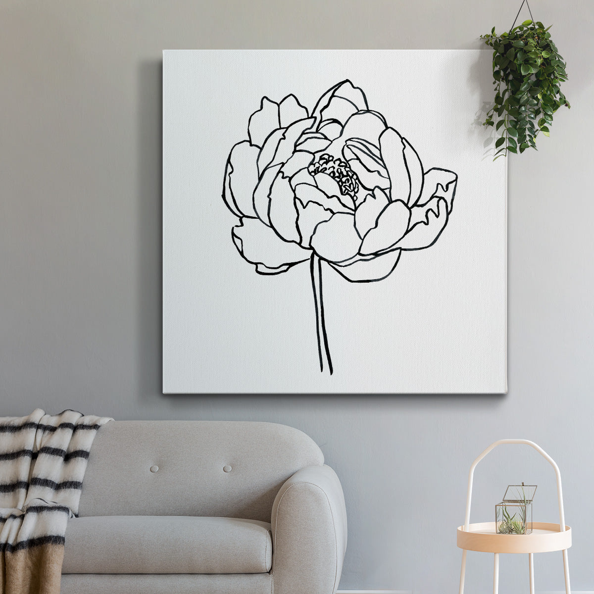 Peony Contour I - Canvas Art Print