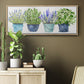 Fresh Herb Collection - Floater Framed Canvas Print