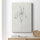 Neutral Iris Sketch I - Canvas Art Print