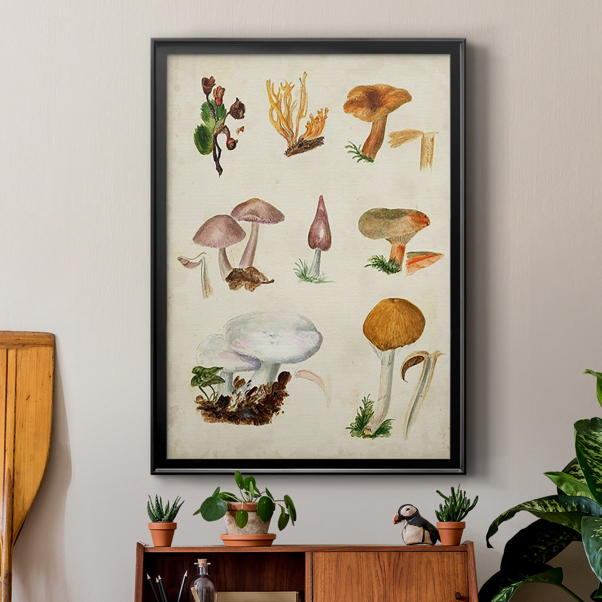 Mushroom Species VI - Modern Framed Canvas Print