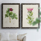 Pretty Pink Botanicals III - Premium Framed Canvas 2 Piece Set - Ready to Hang