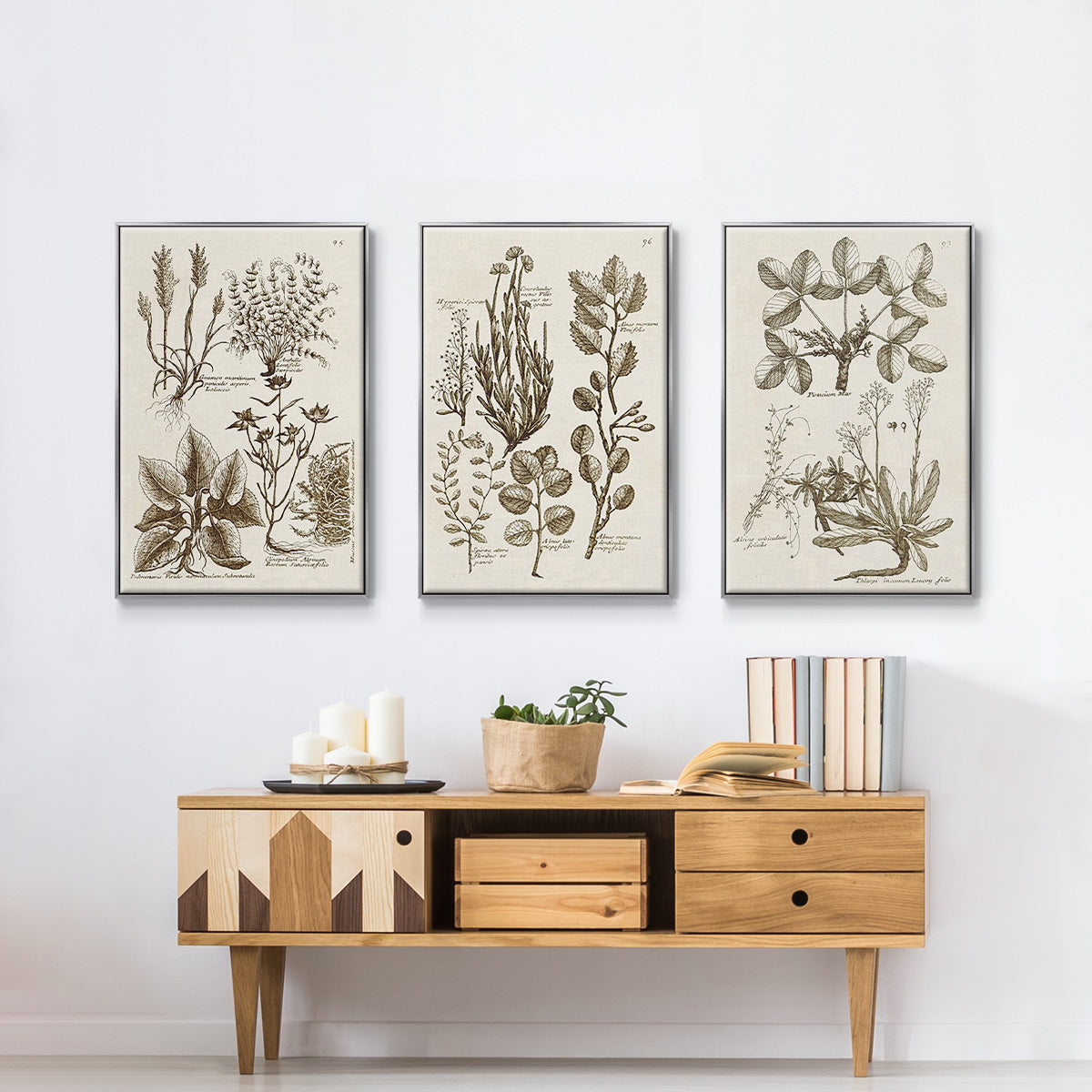 Sepia Botanical Journal VI - Framed Premium Gallery Wrapped Canvas L Frame 3 Piece Set - Ready to Hang