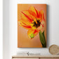 Hanging On VI - Canvas Art Print