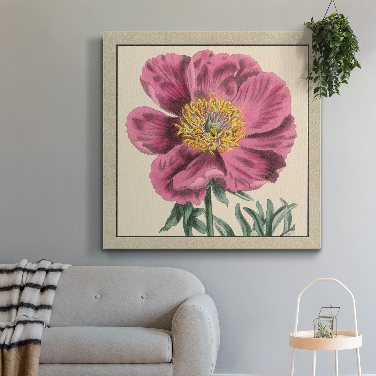 Peony Collection III - Canvas Art Print