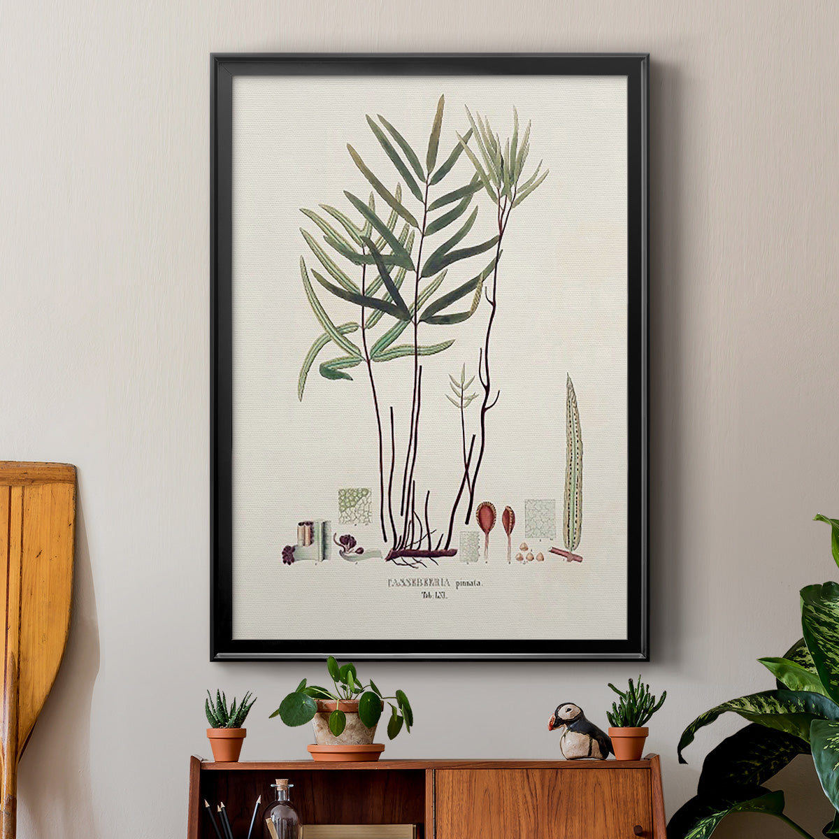 Botanical Society Ferns XI - Modern Framed Canvas Print