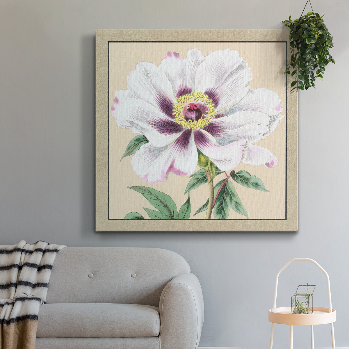 Peony Collection VI - Canvas Art Print