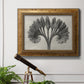Vintage botanical plant study photograph by Karl Blossfeldt in an ornate vintage gold frame displayed in a light-toned interior setting.