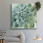 Verdant Succulent II-Premium Gallery Wrapped Canvas - Ready to Hang