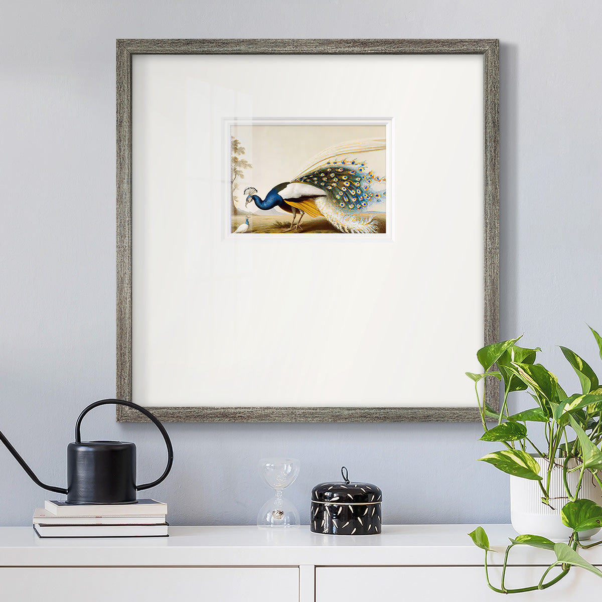 Golden Peacock Premium Framed Print Double Matboard