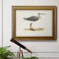 Morris Sandpipers I Premium Framed Canvas- Ready to Hang