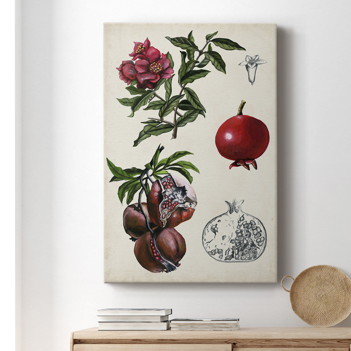 Pomegranate Composition II Premium Gallery Wrapped Canvas - Ready to Hang