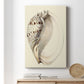 Splendid Shells I Premium Gallery Wrapped Canvas - Ready to Hang