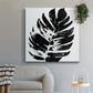 Monochrome Tropic VII - Canvas Art Print
