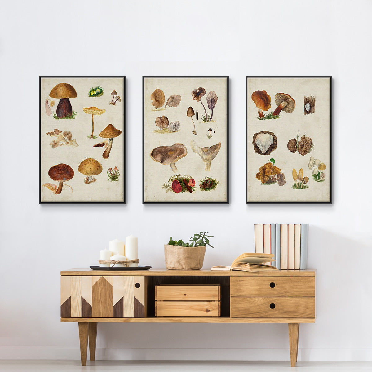 Mushroom Species I - Floater Framed Canvas Set